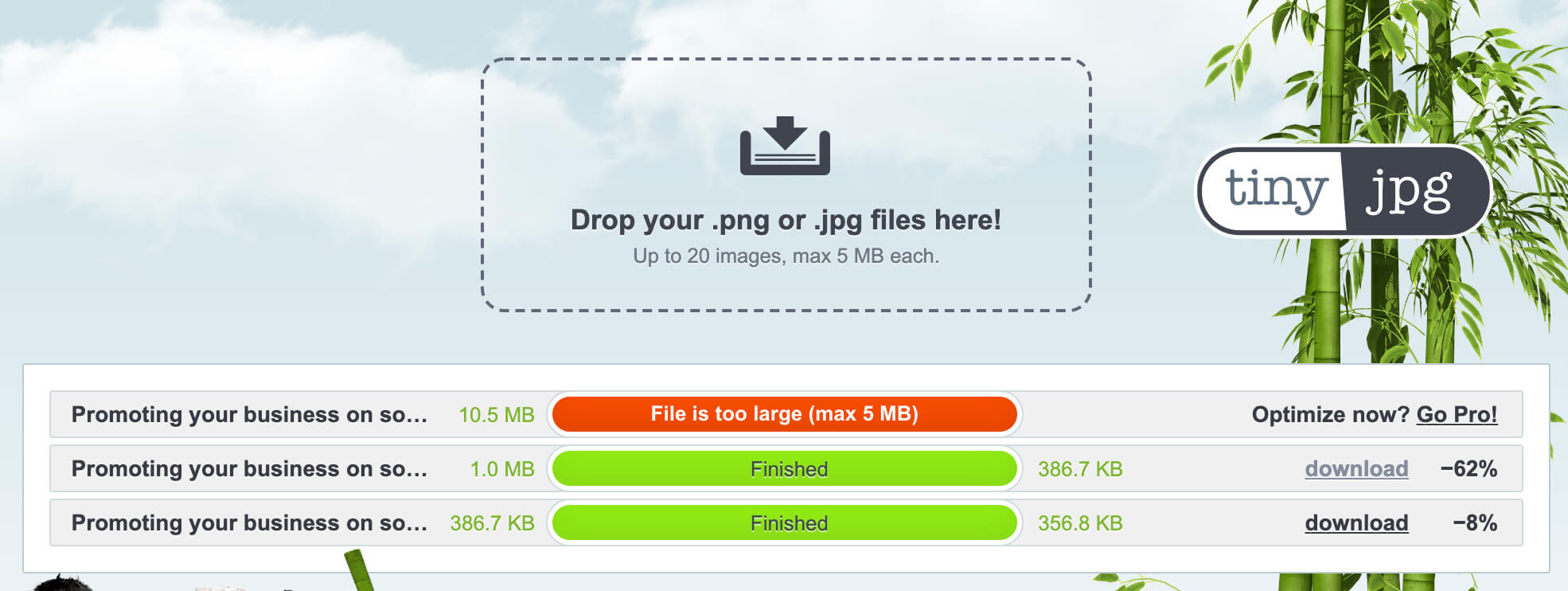 10. TinyJPG