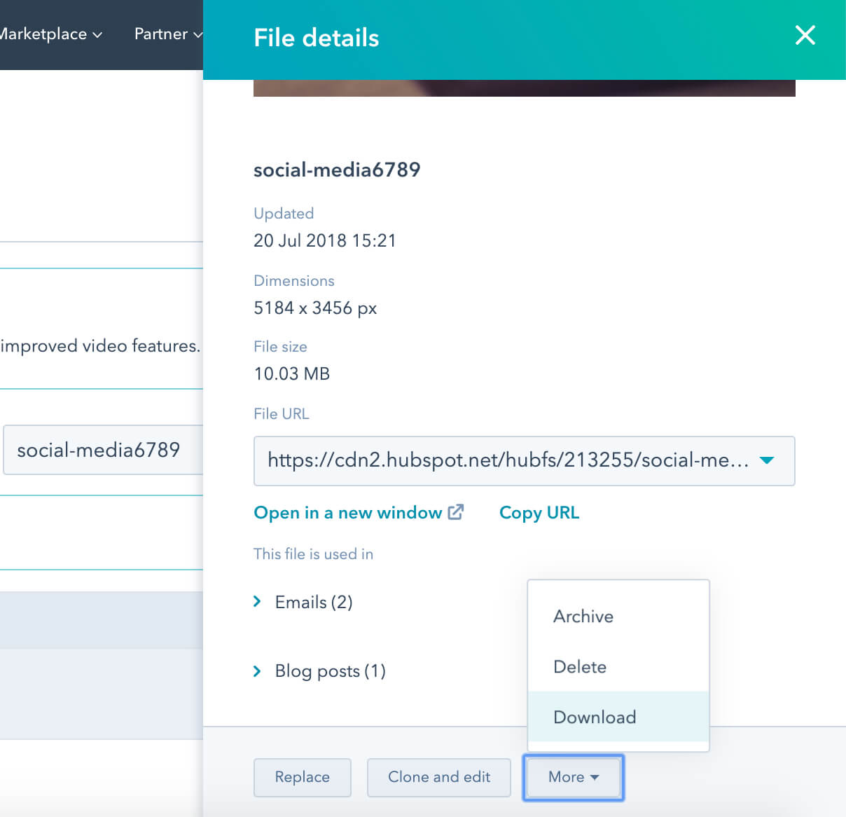 8. HubSpot Image Details